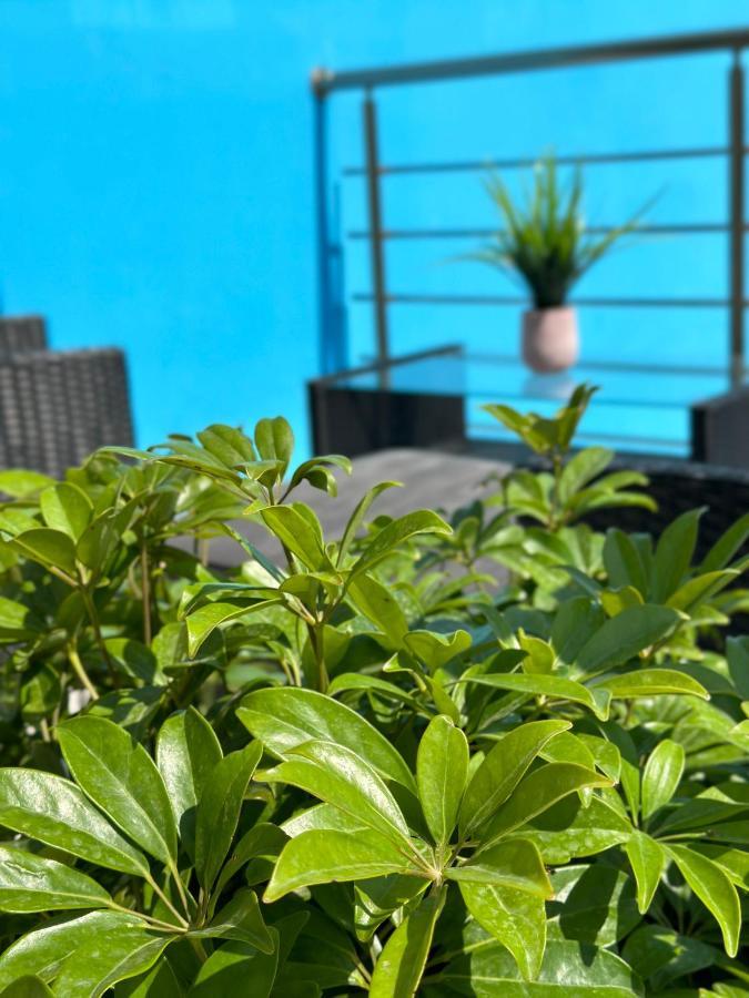 Gikas Apartments Agios Stefanos Avliotes  Eksteriør billede